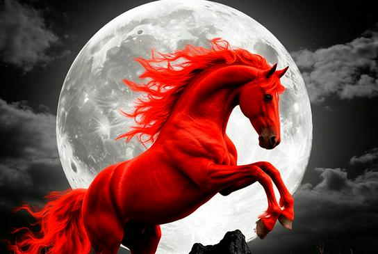 Di fuoco, rossa – e bellissima